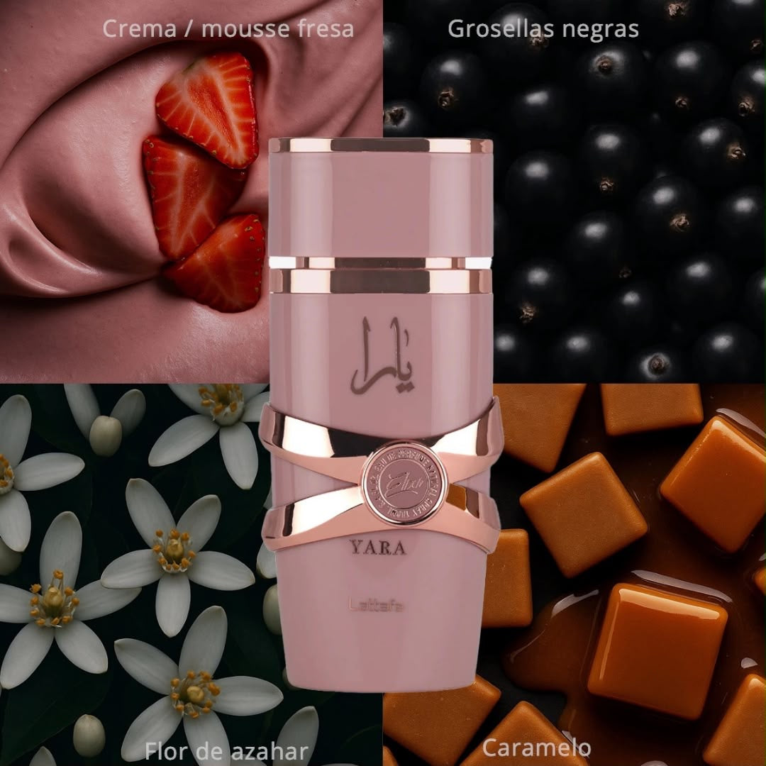 Yara Elixir EDP 100ml