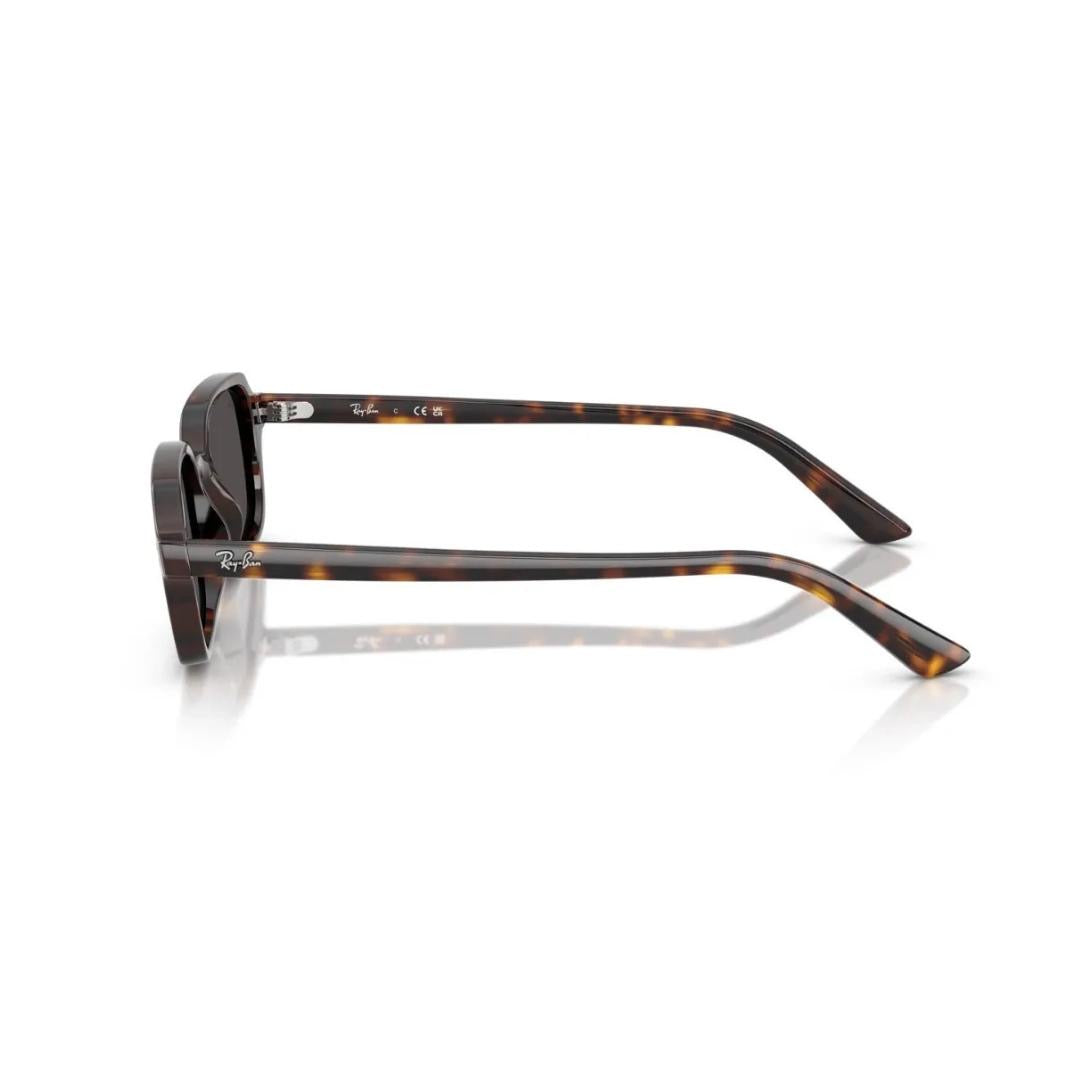Gafas Ray Ban RB4455 13598752