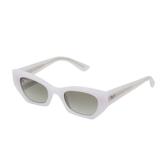 Gafas Ray Ban RB 4430 6759/11 49