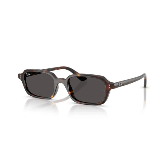 Gafas Ray Ban RB4455 13598752