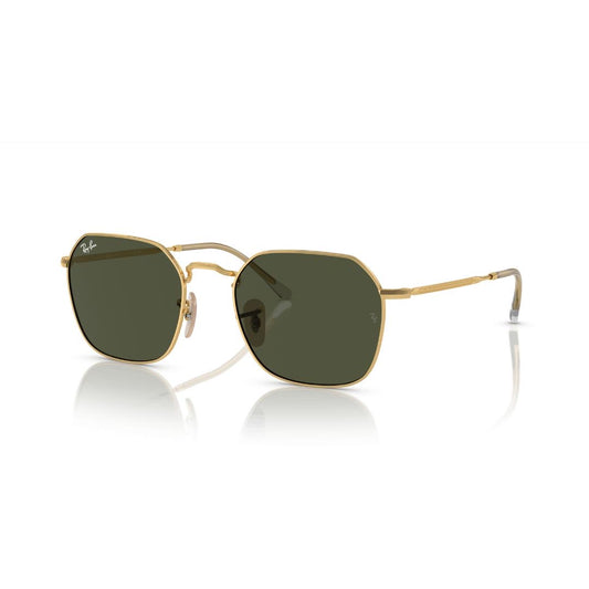 Gafas Ray Ban 3694 001/3153